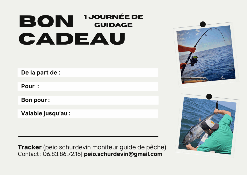 Tracker moniteur guide de pêche en mer au pays basque bon cadeau