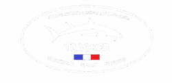 Tracker peio schurdevin guide de pêche