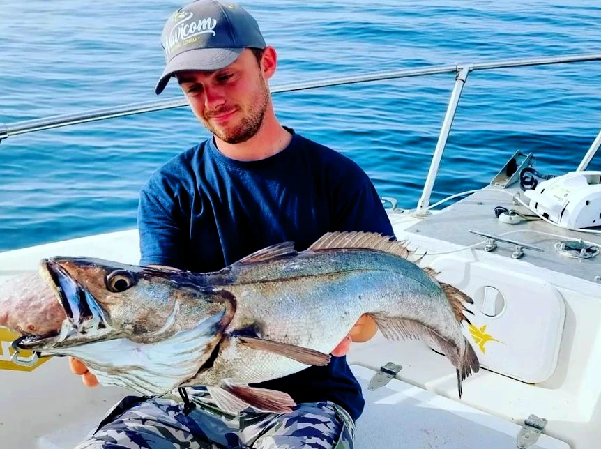 merlu dans les mains a l'avant du bateau pêcher dans les fosses au pays basque